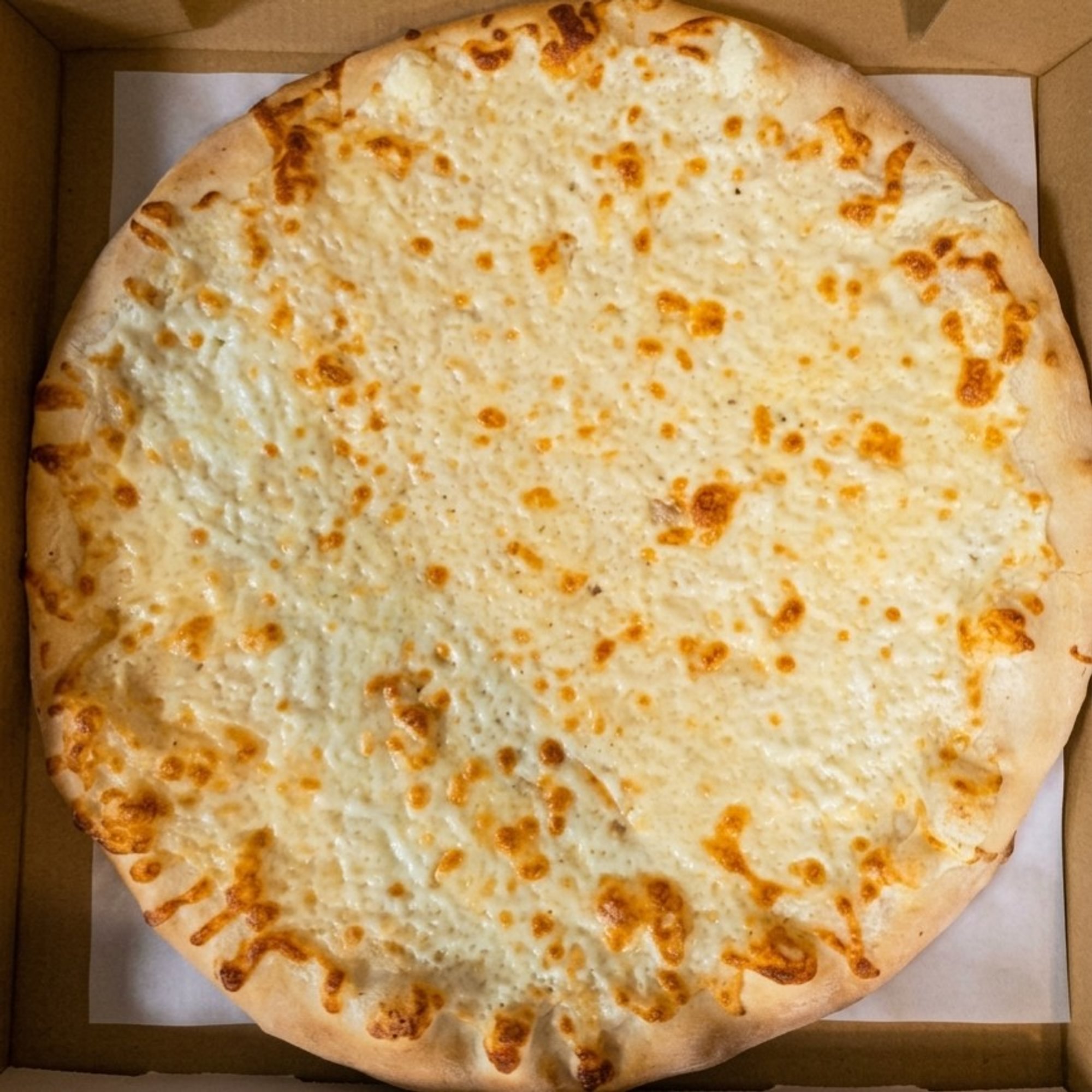 LARGE WHITE PIZZA