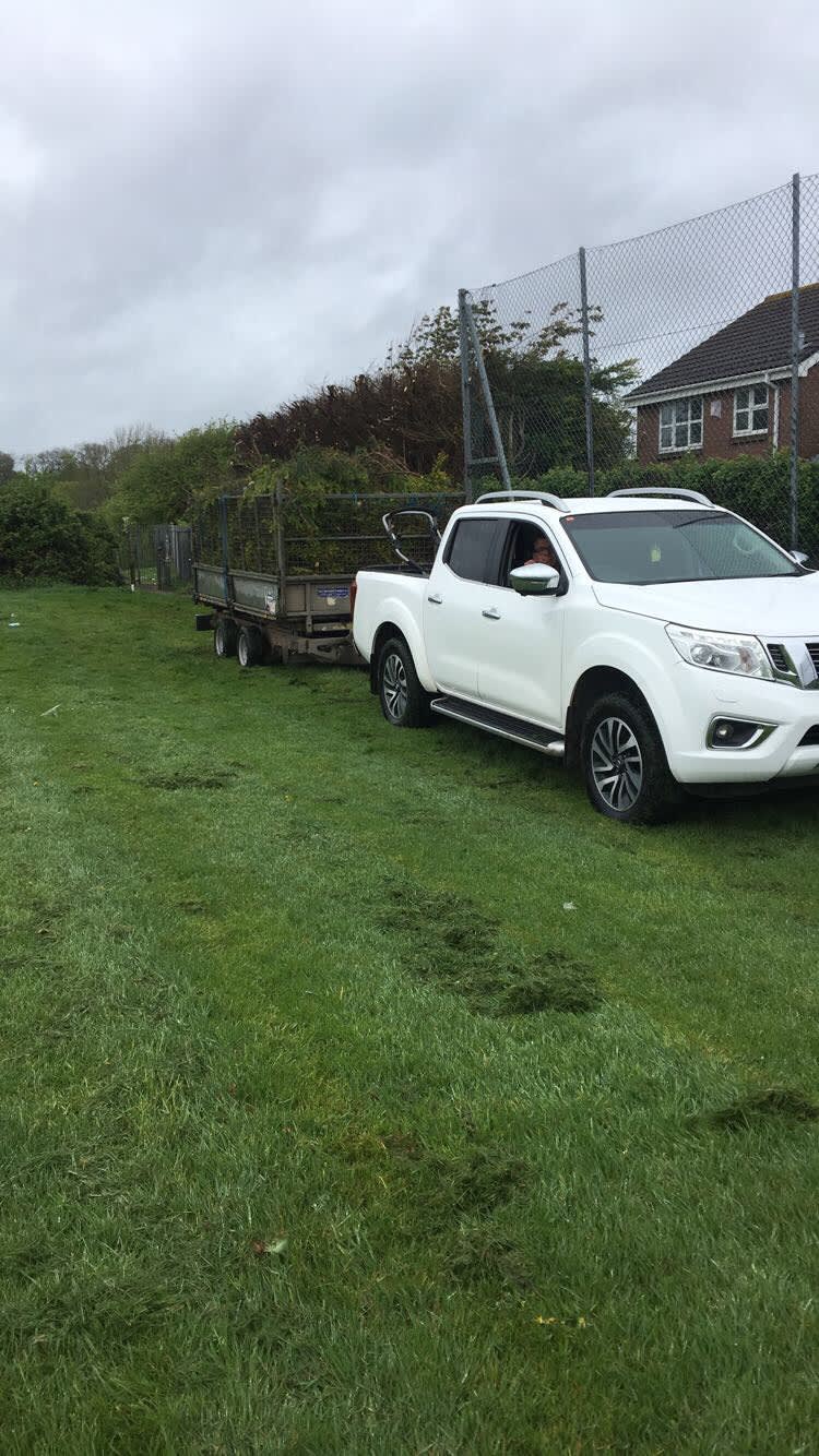 Images County Tree Services