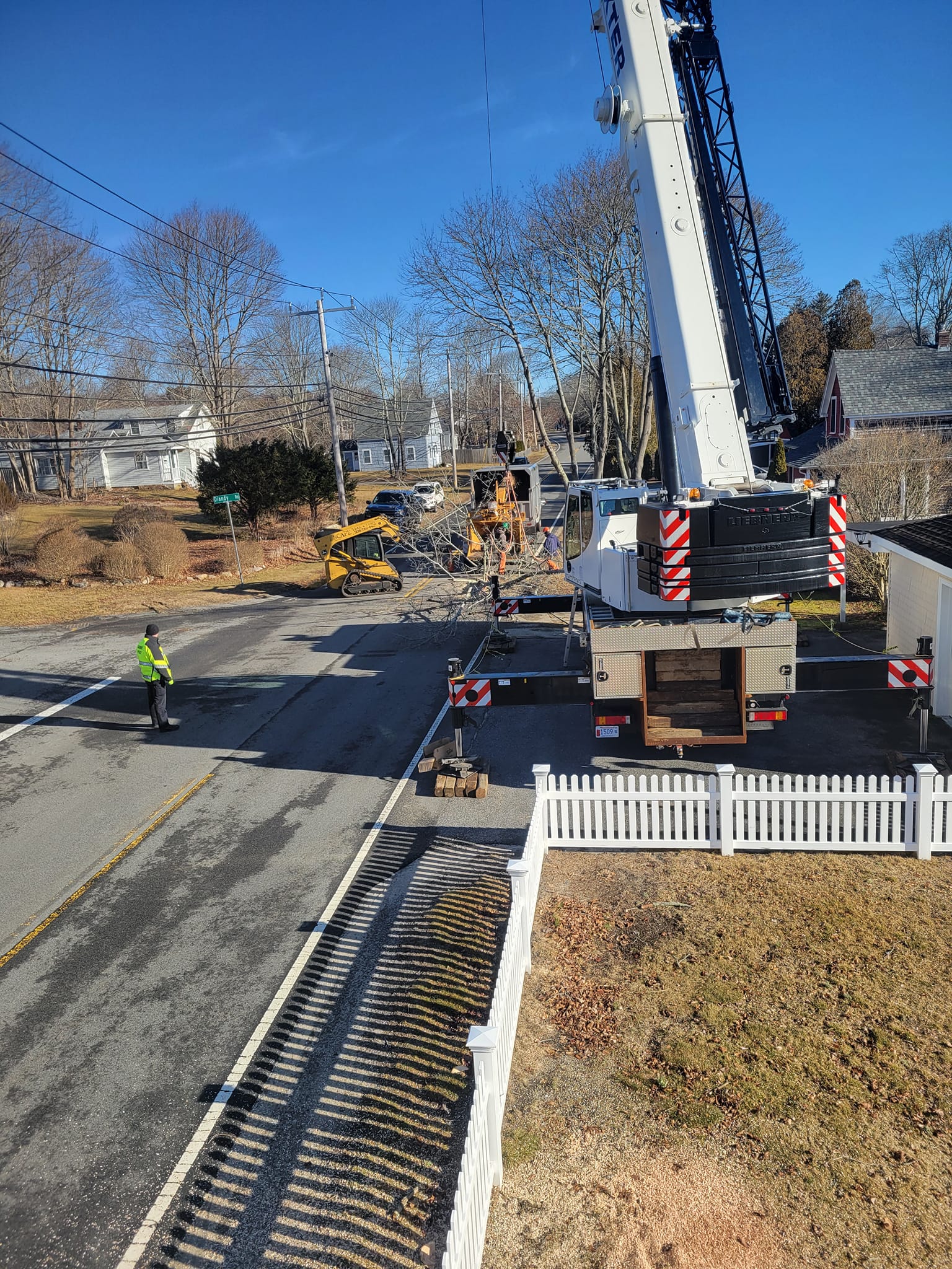 Allscape Tree & Turf Services, Inc. Image