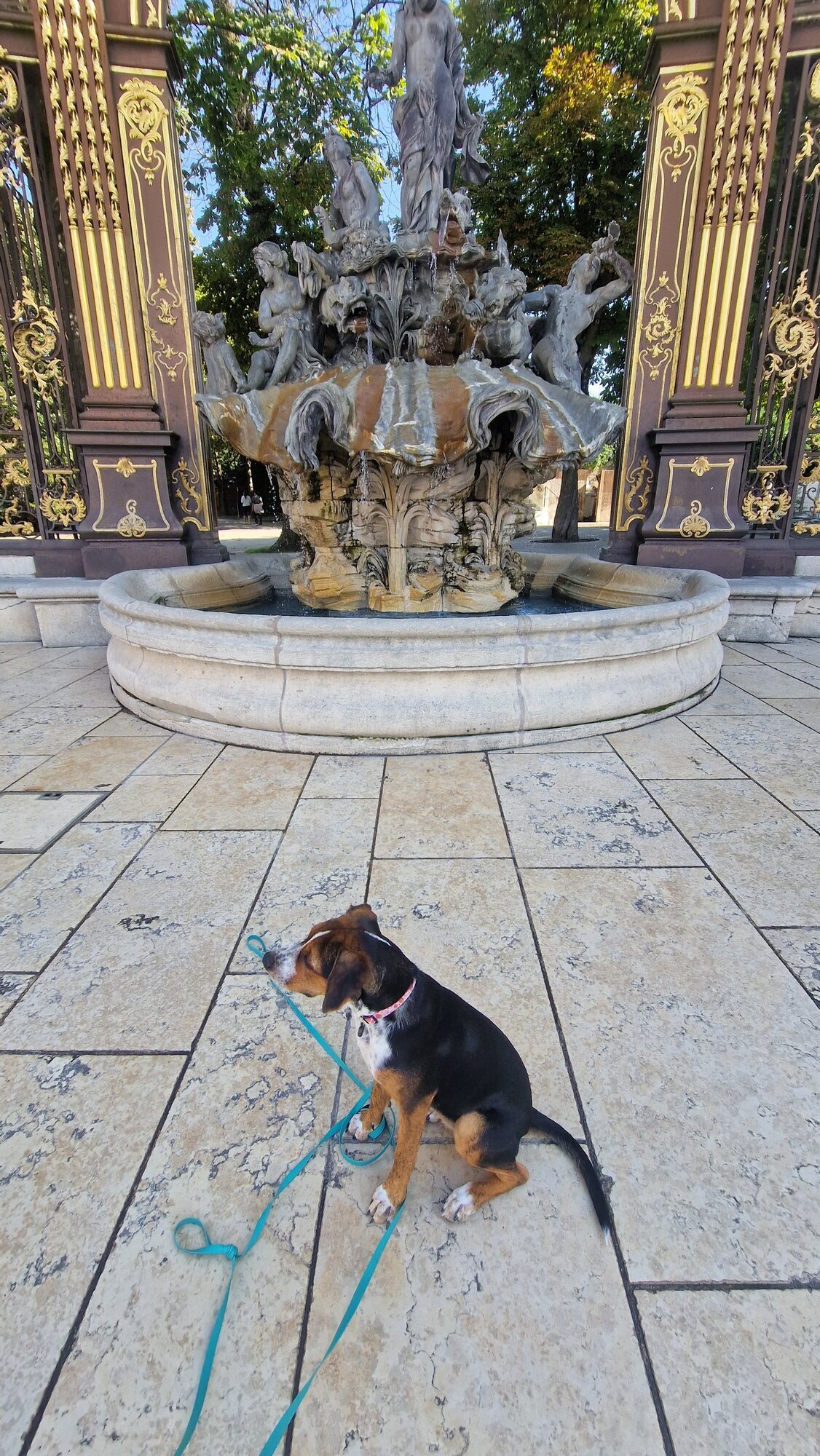 Miniature de la galerie