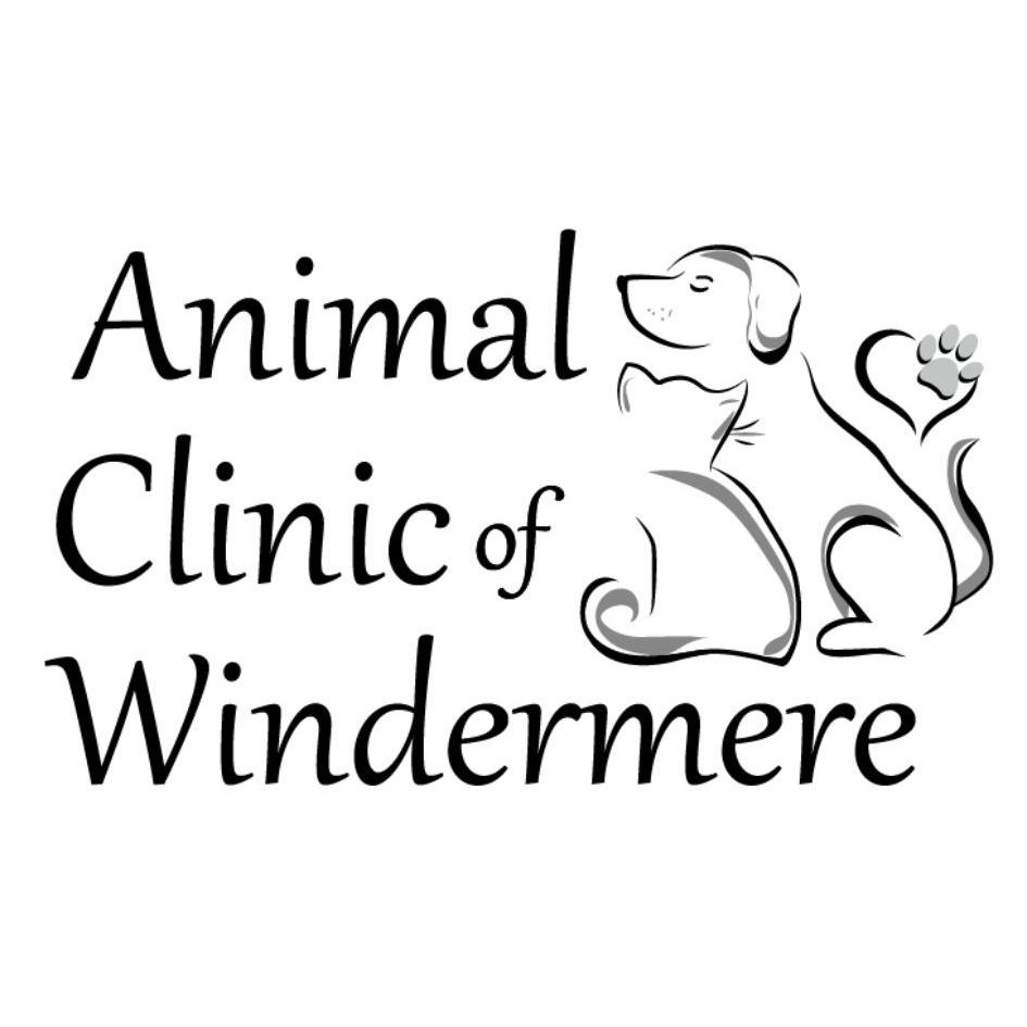 Animal Clinic of Windermere Photo