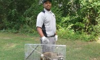 Nest Pest Control Washington DC Photo