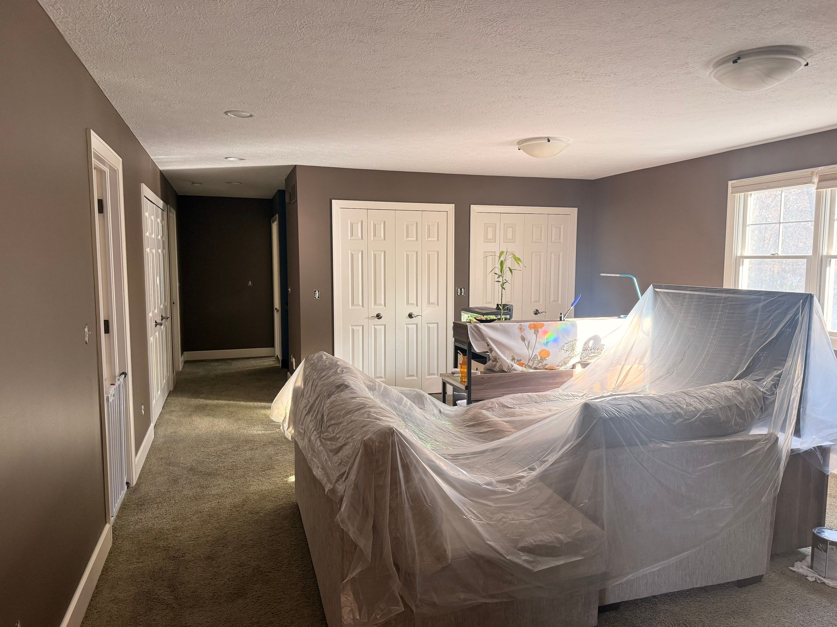 The Final Coat Image