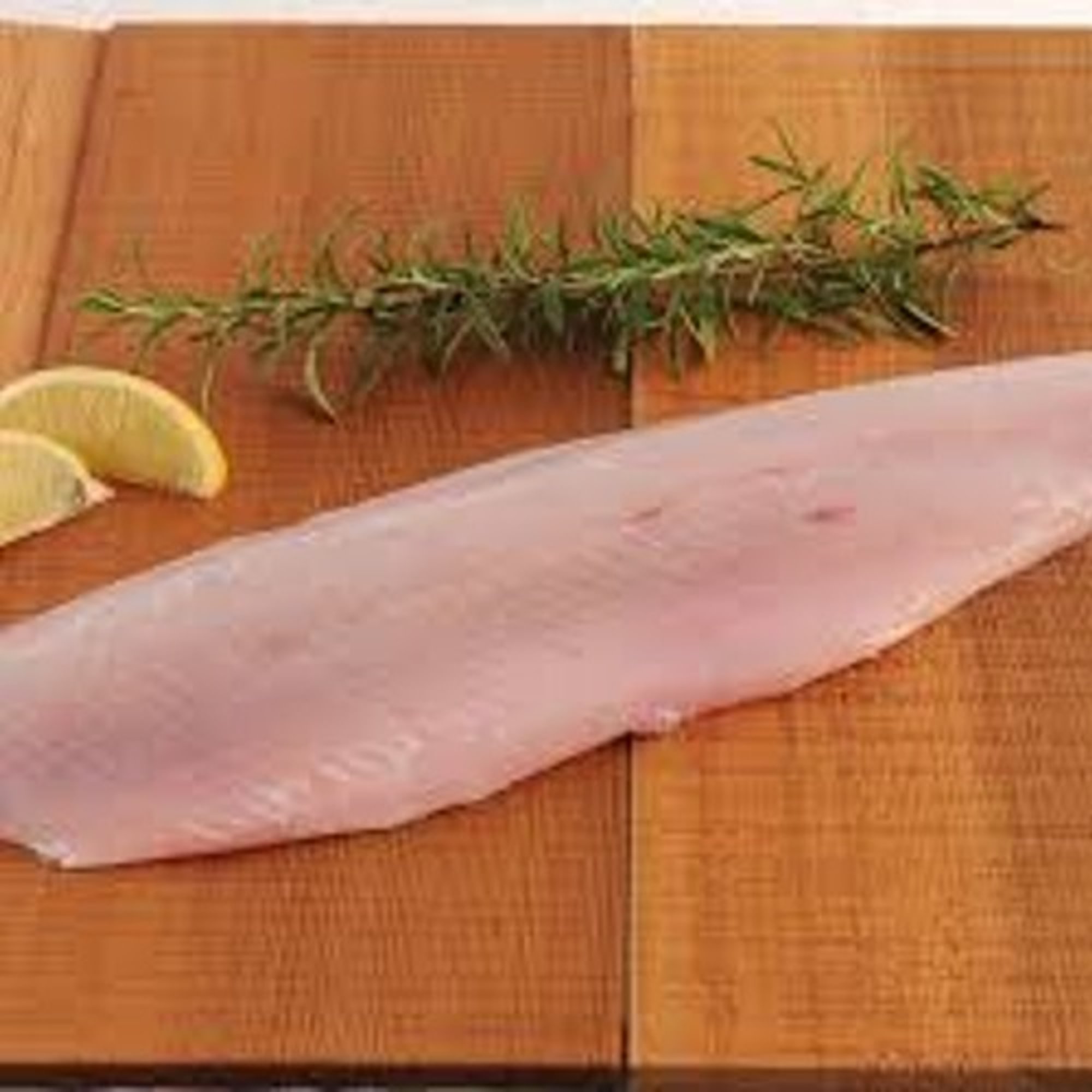 Walleye