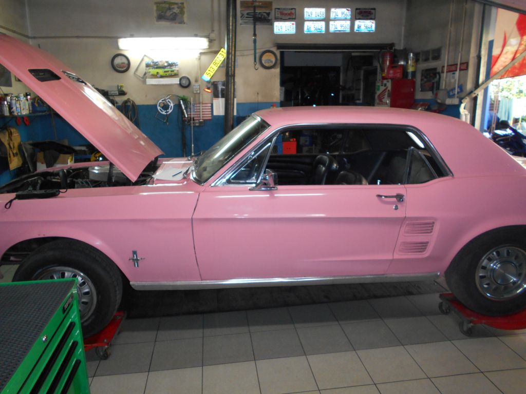 Images Stajnia Mustangów