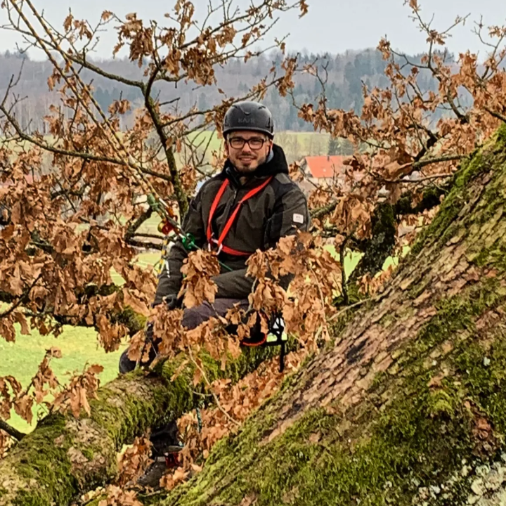 Logo von DG Baum & Gartenpflege