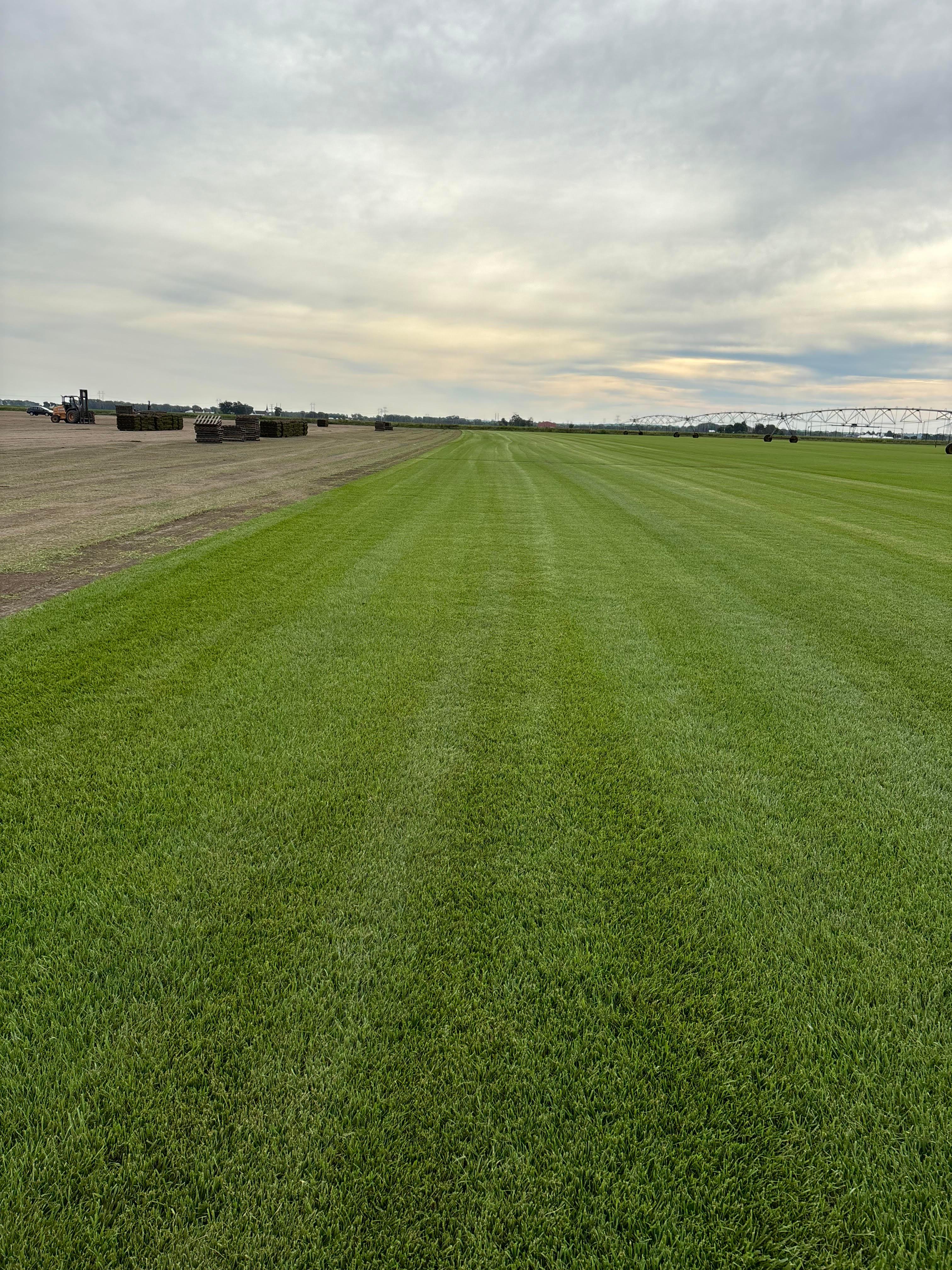 Keeven Brothers Sod Farms Image