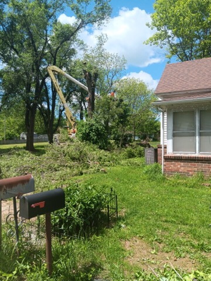 Triple G's Tree Service & Land Clearing Image