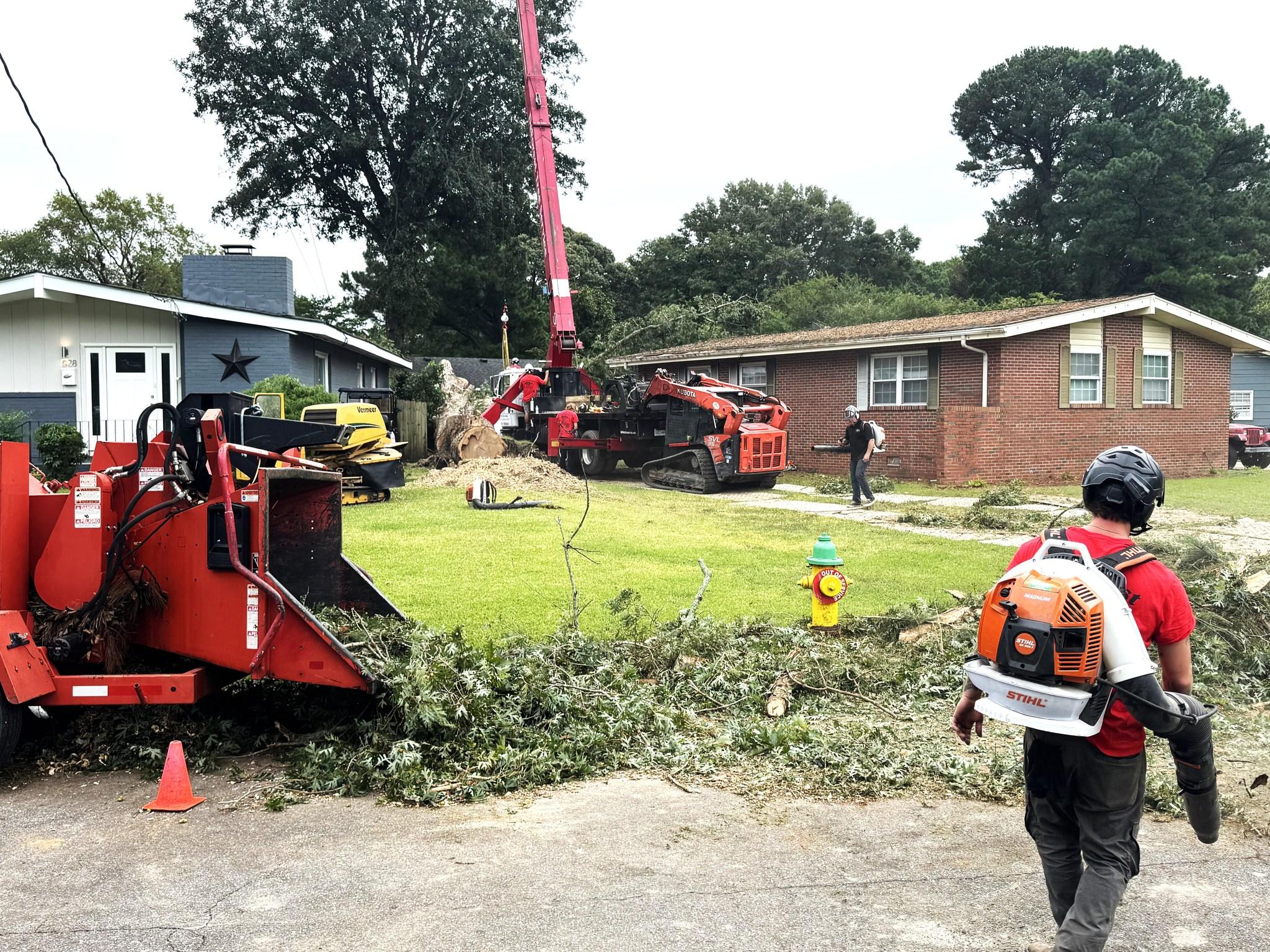 DeForest Tree Service Image
