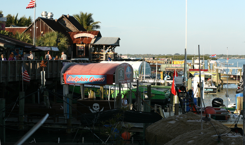 St. Petersburg / Madeira Beach KOA Holiday Photo