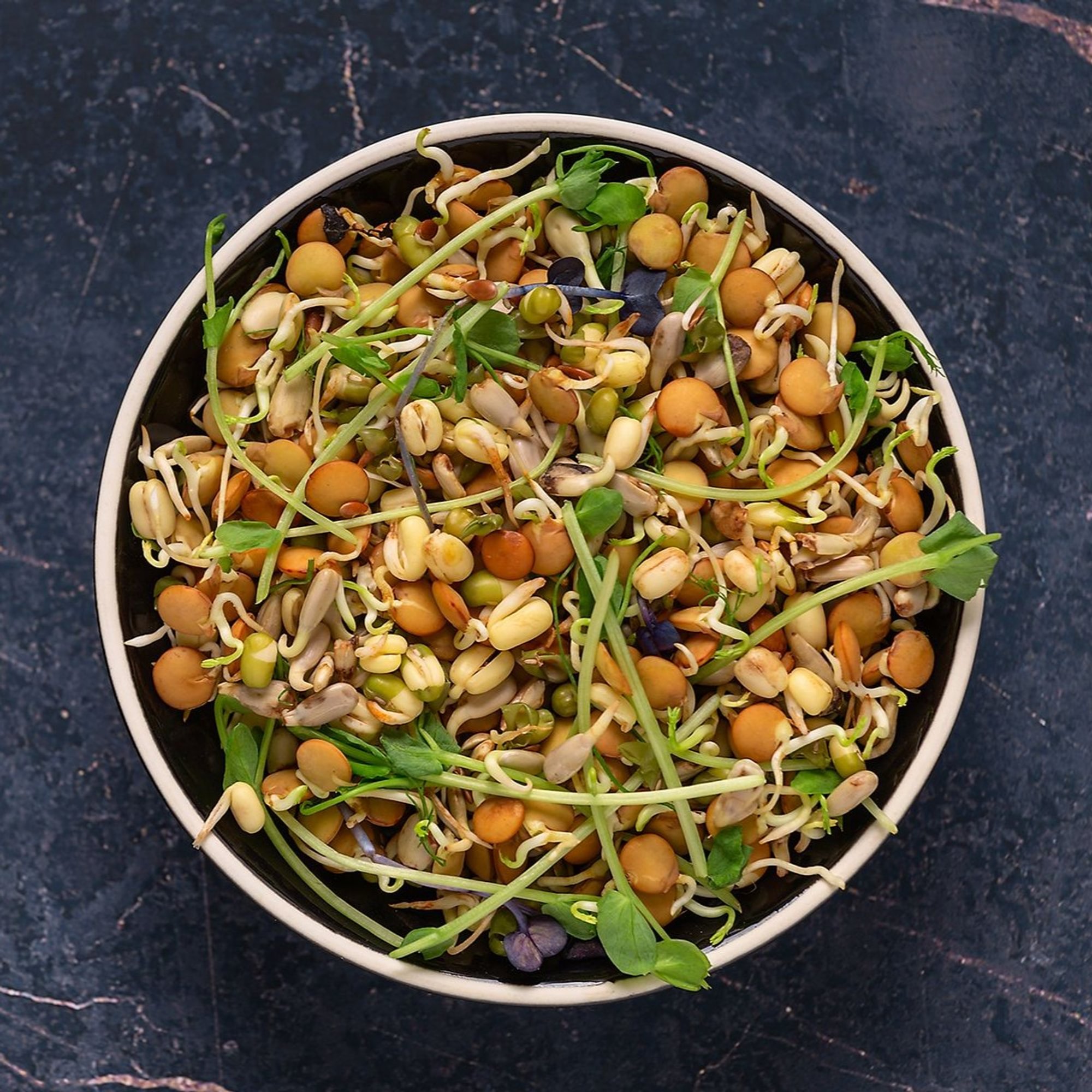 SPROUT CHAAT