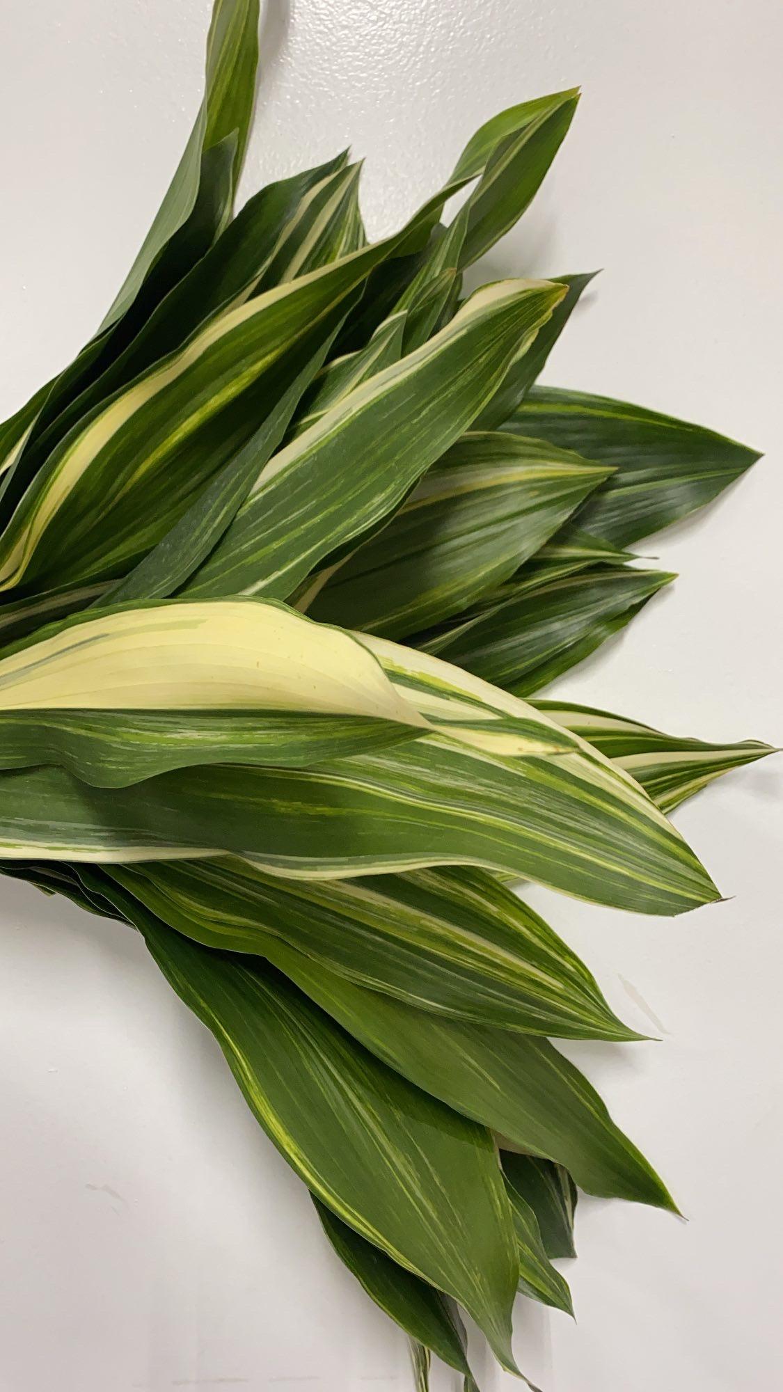 Printz Florist Image