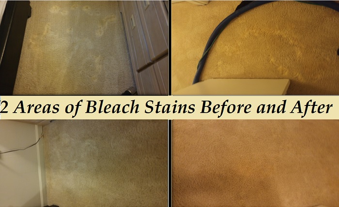 All Colors Carpet Cleaning Indianapolis Stretching-Repairs Photo