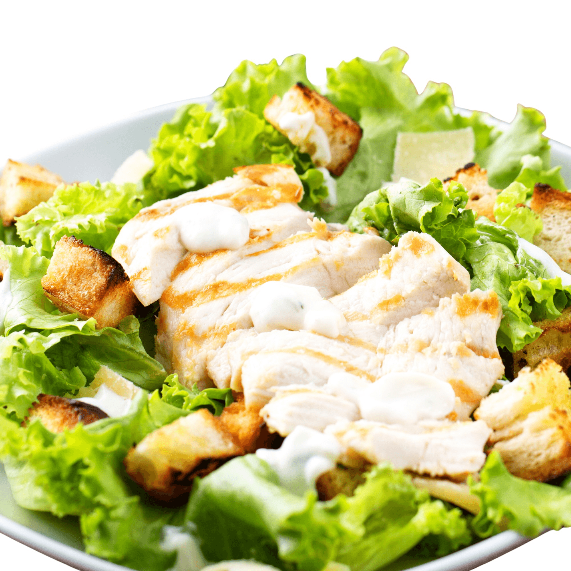 House Salad with Grilled Chicken