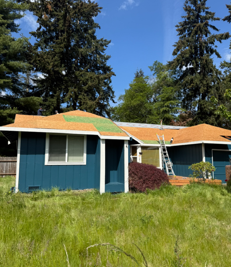 Cover Pro Painting Image