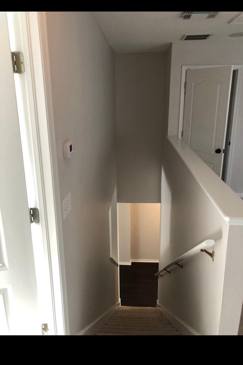 Peach Painting Image