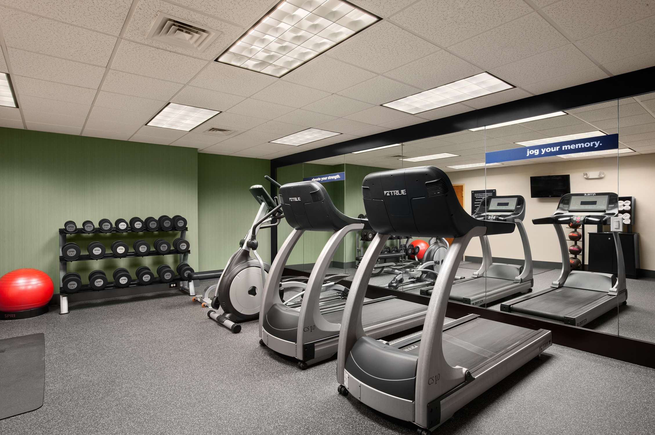 Health club  fitness center  gym