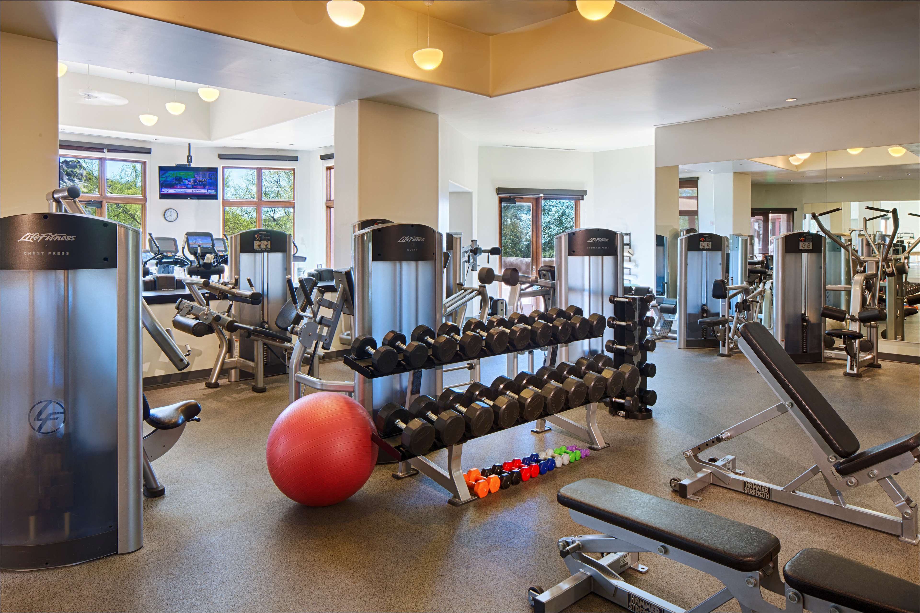 Health club  fitness center  gym