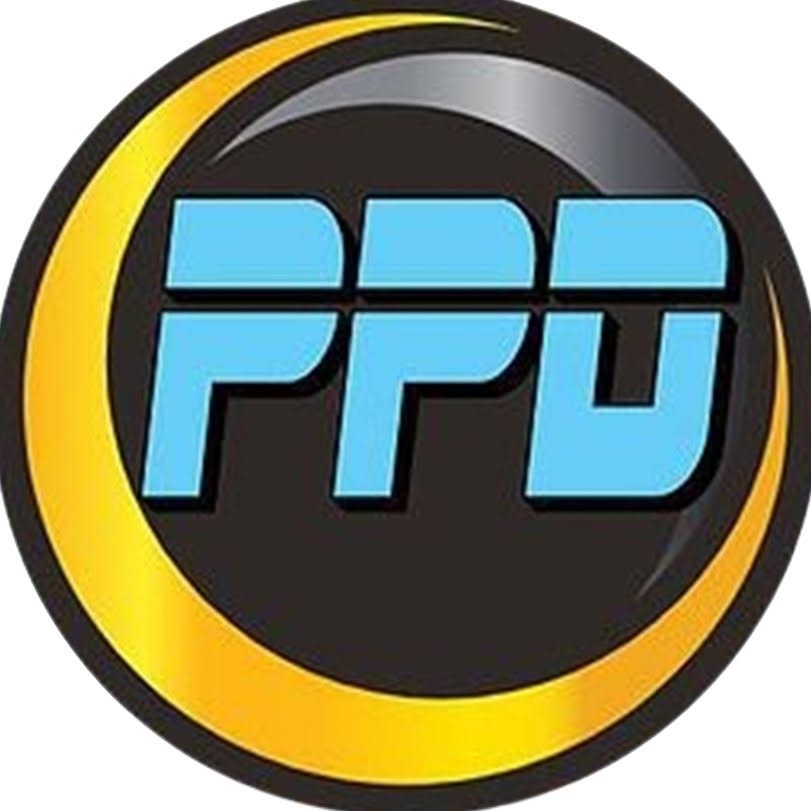 Park's Precision Detailing