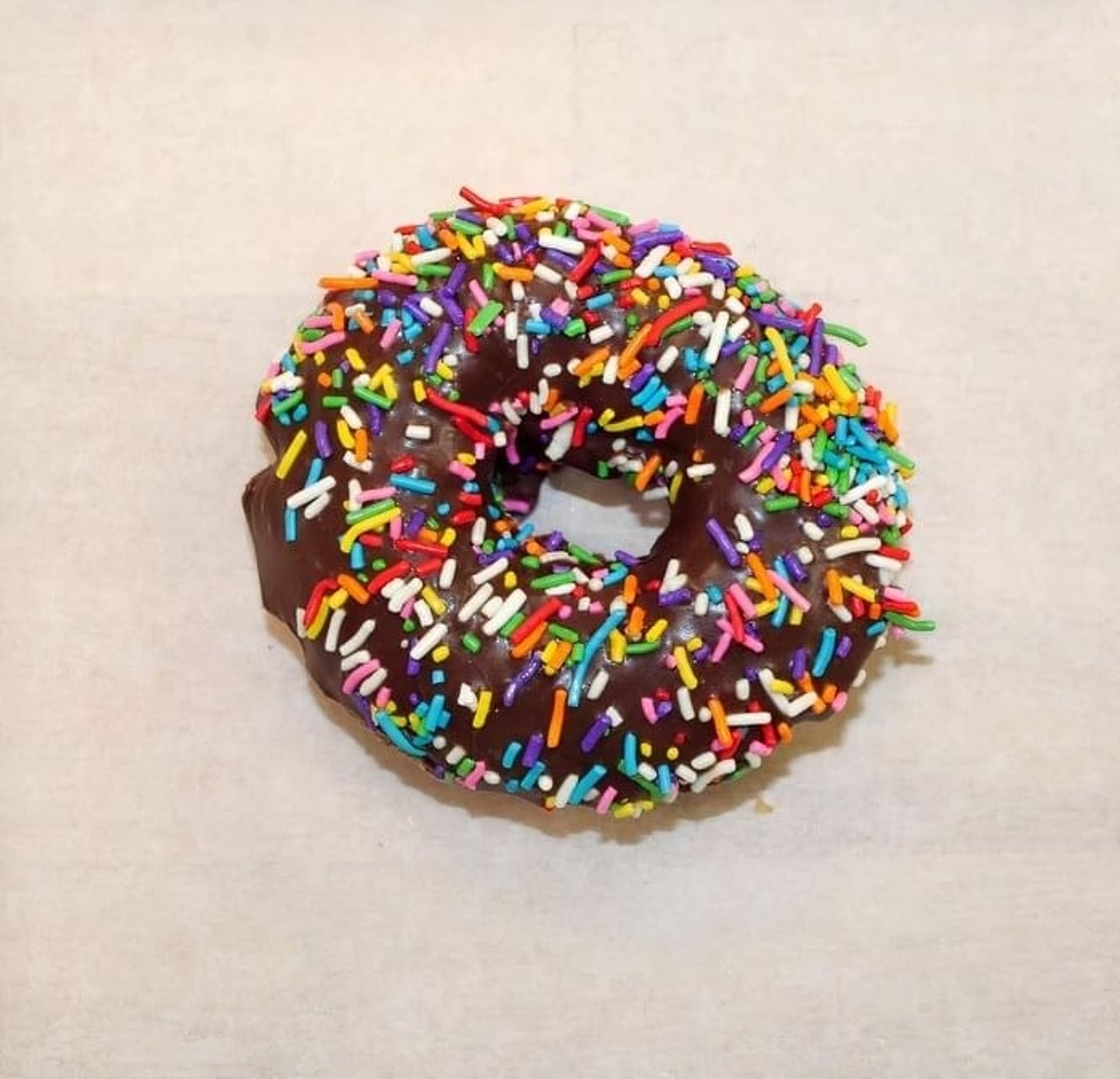 Chocolate Sprinkle Donut