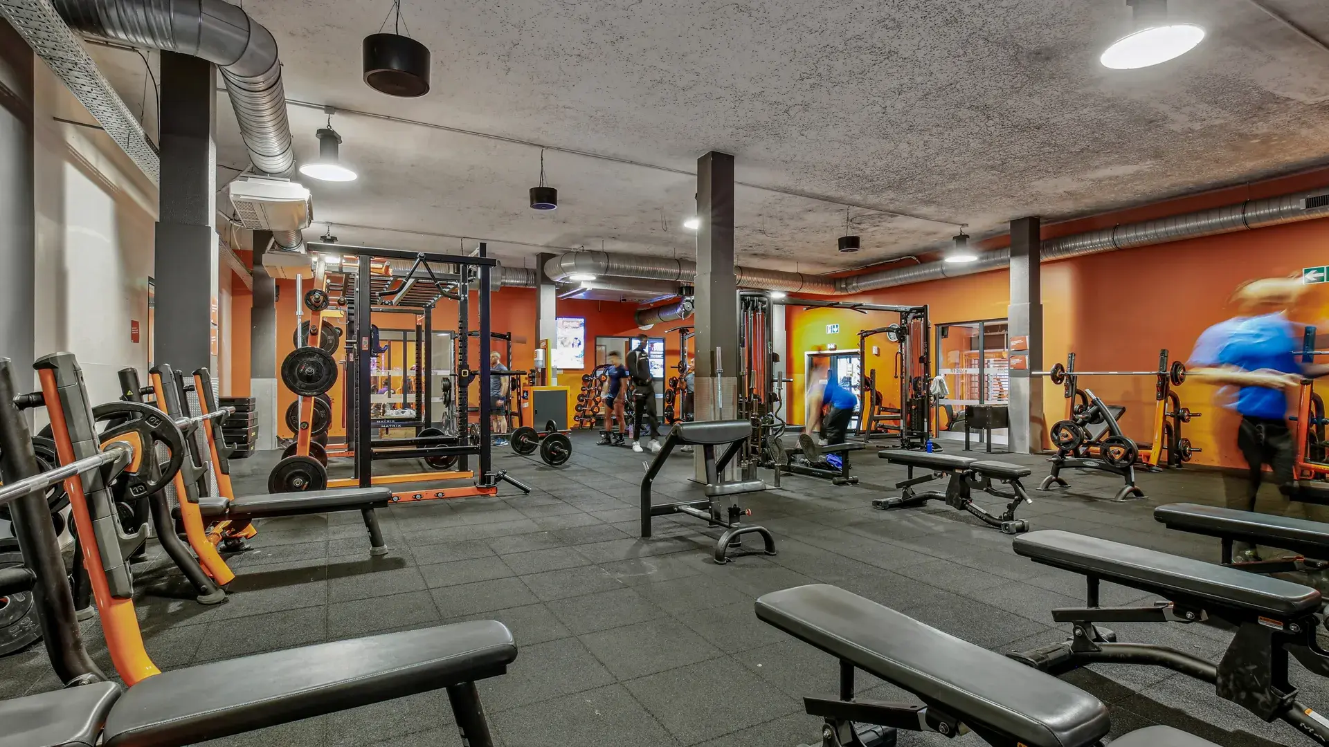 Miniature de la galerie