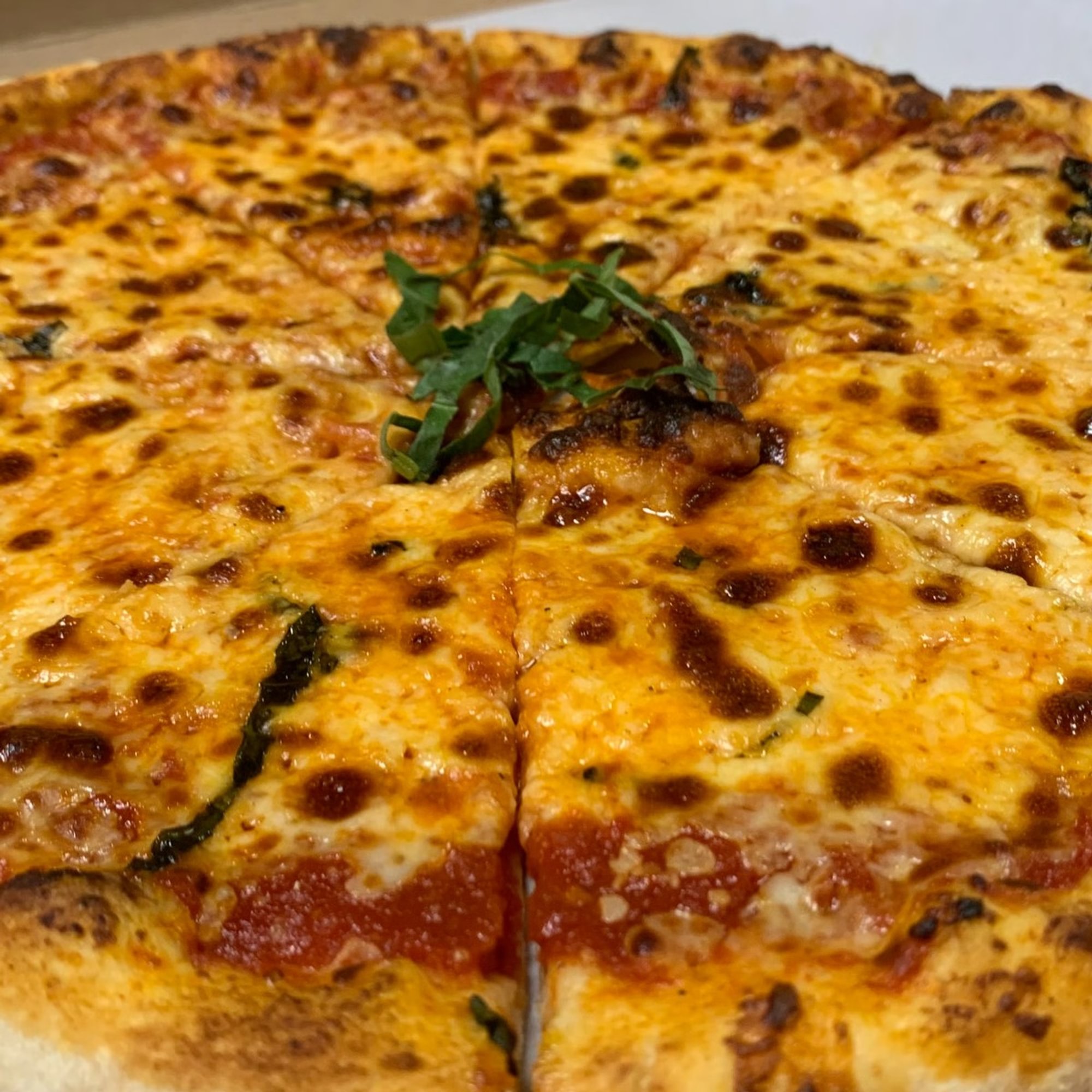 Plain Pizza