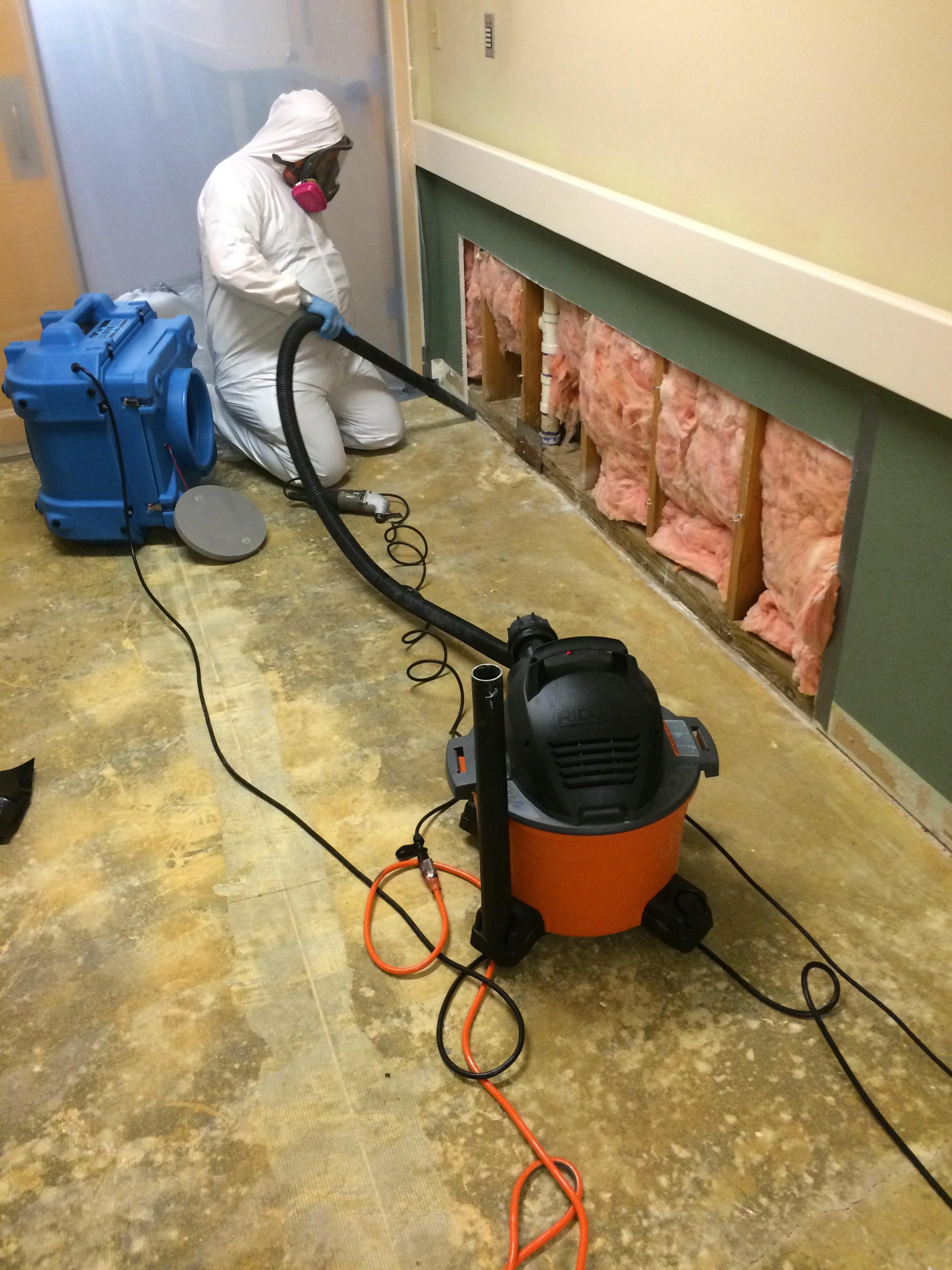 After sealing off the area, our technicians wear protective equipment during the mold removal process