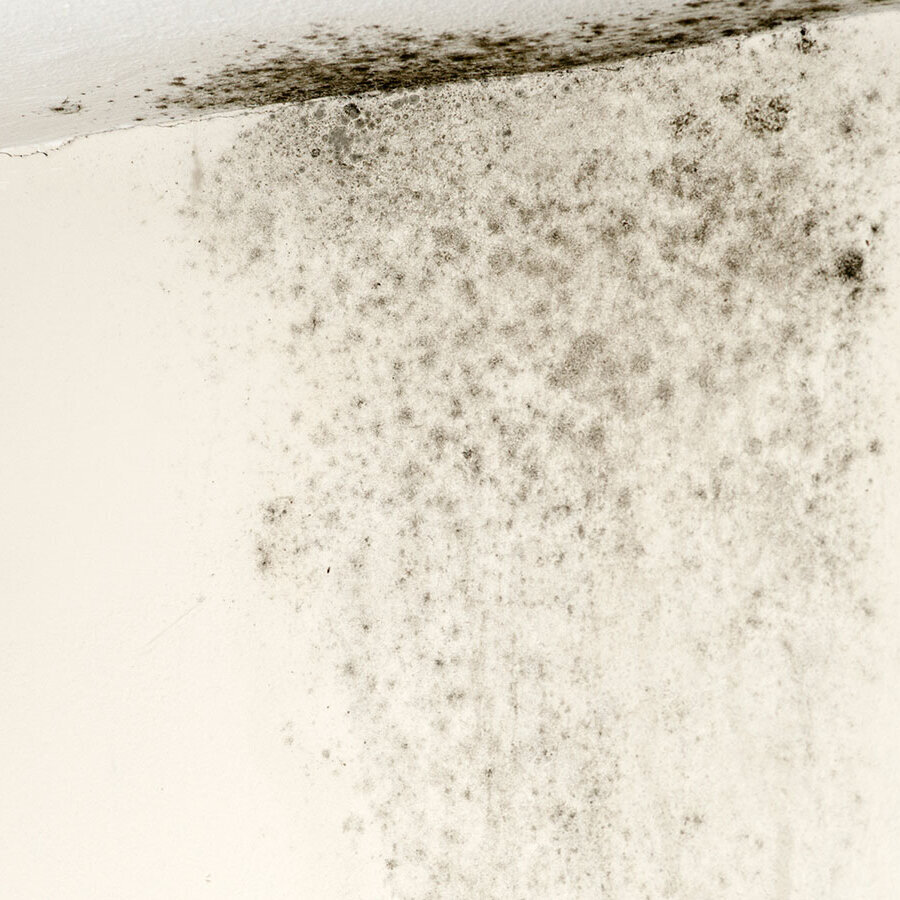 Northeast Ohio Radon & Mold Solutions Image