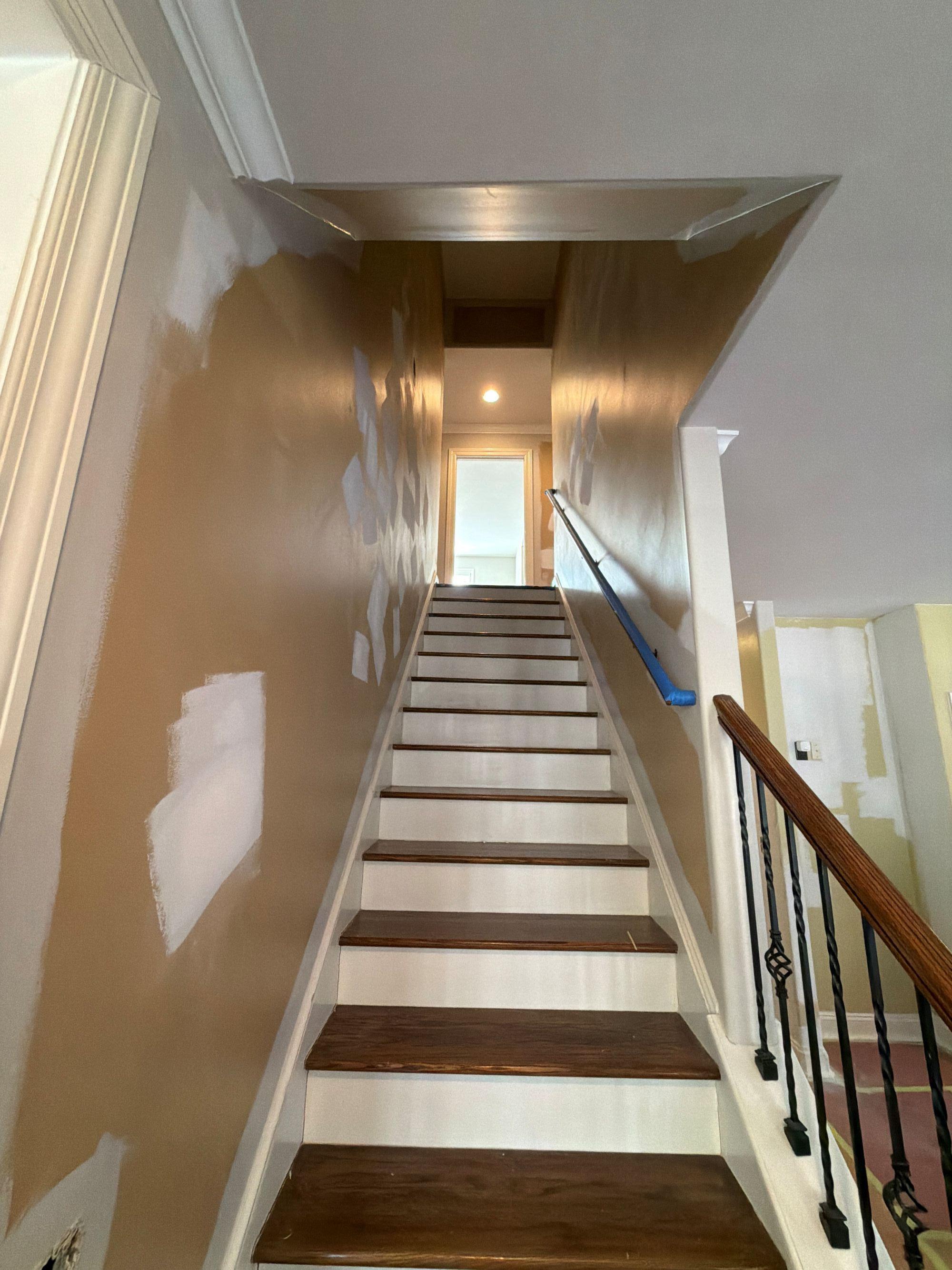 Blue Jay Painting Image