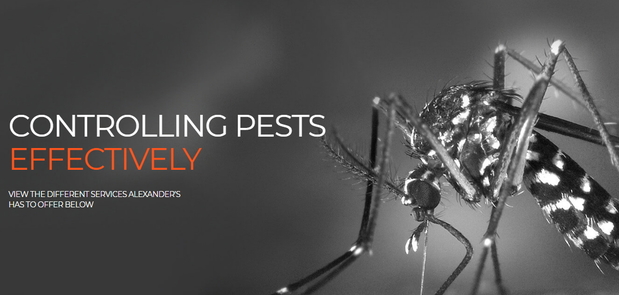 Images Alexander's Pest Control