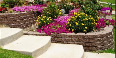 Buzz Landscaping Inc. Photo