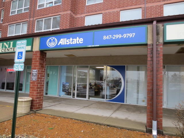 Dorothy Stamenkovic: Allstate Insurance Photo