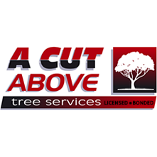 A Cut Above Tree Services
