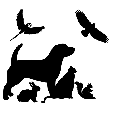 Spruce Hill Veterinary Clinic