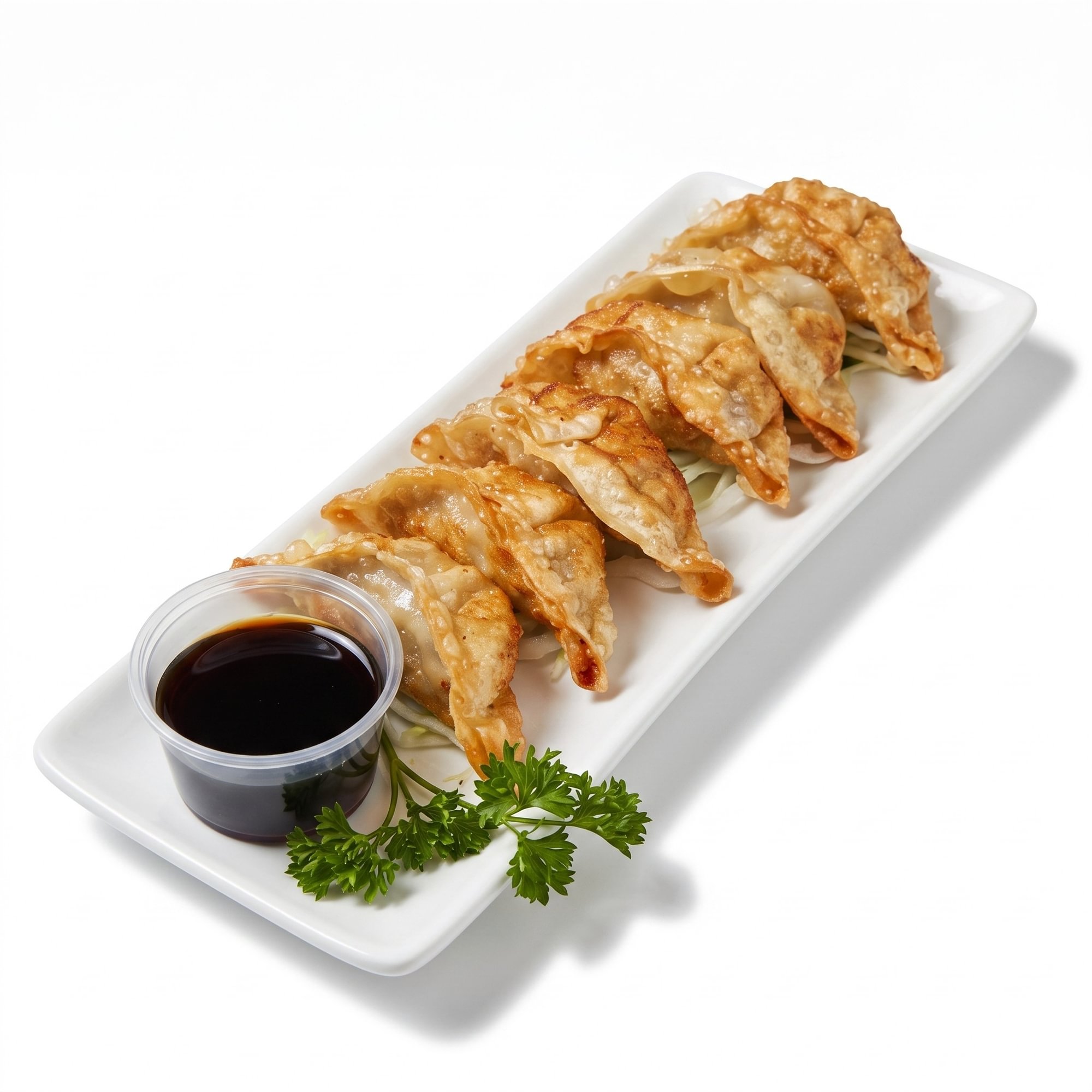 Pork Gyoza