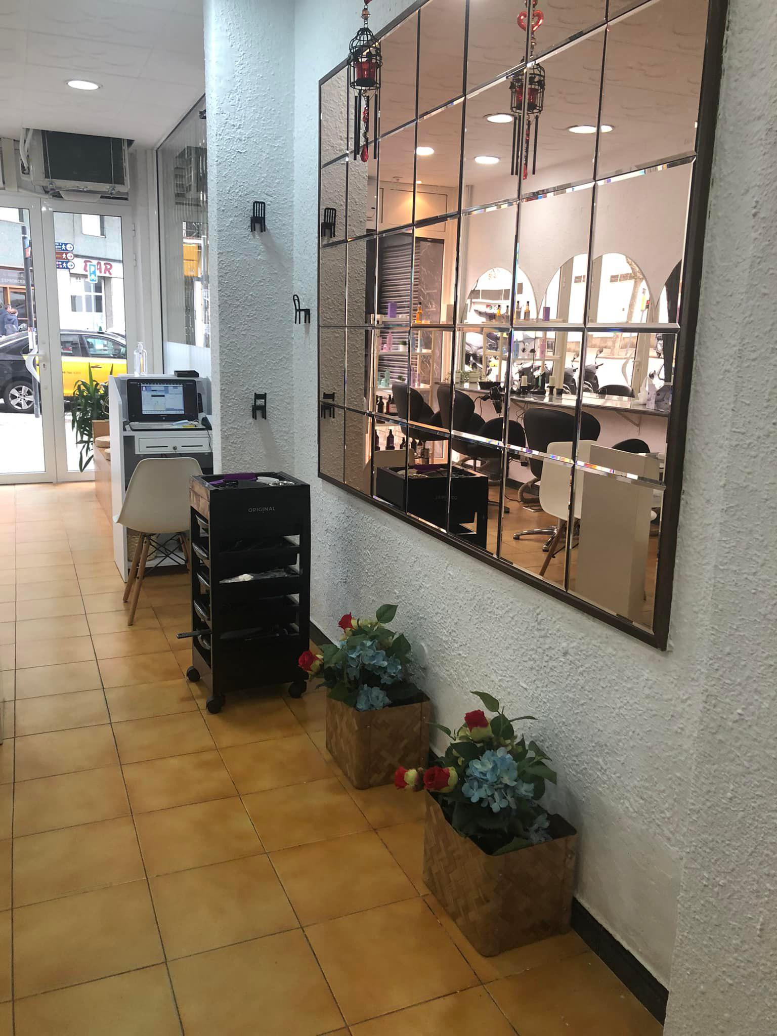 Galería en miniatura