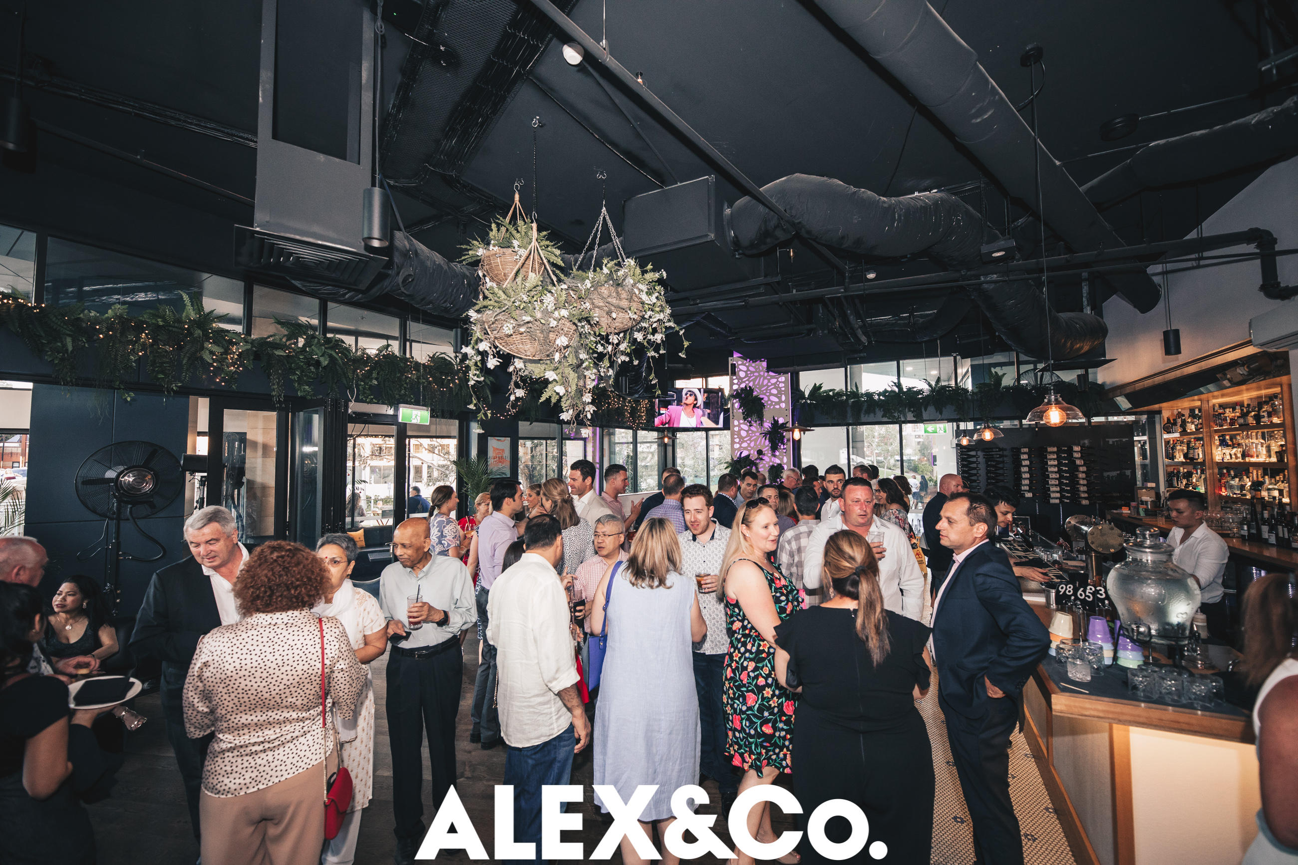 Images ALEX&Co.
