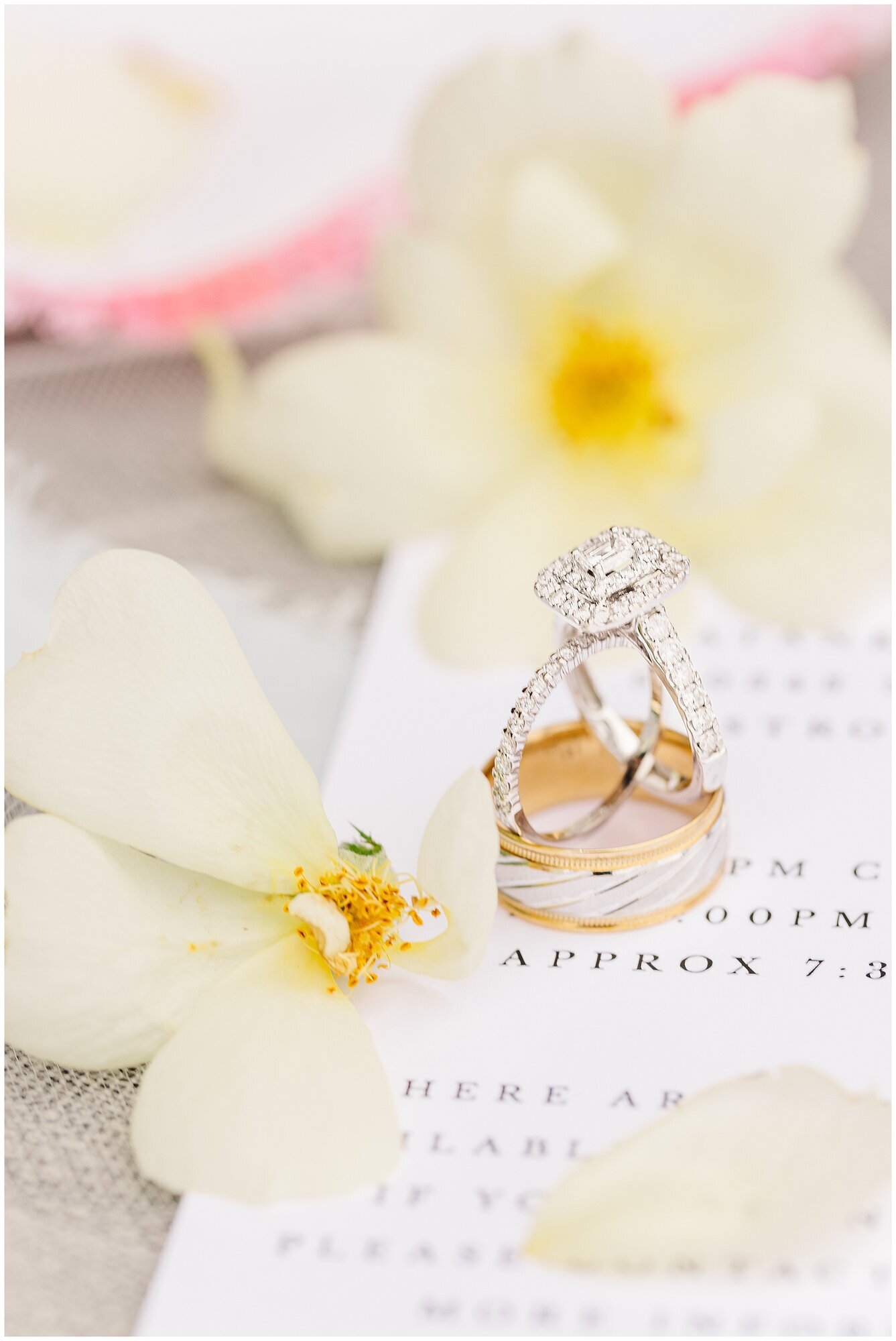 Jordyn Emmert Photography Image