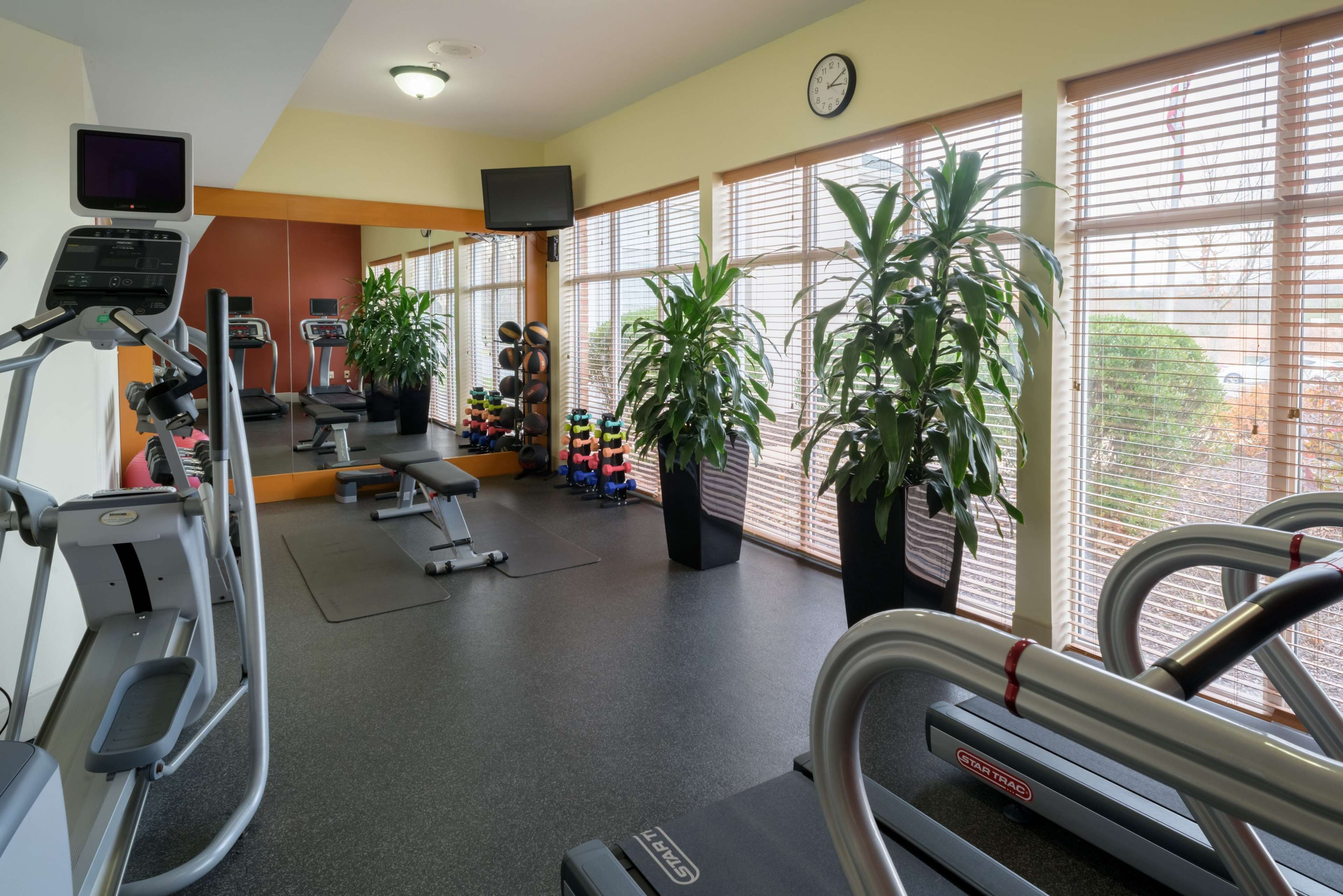 Health club  fitness center  gym