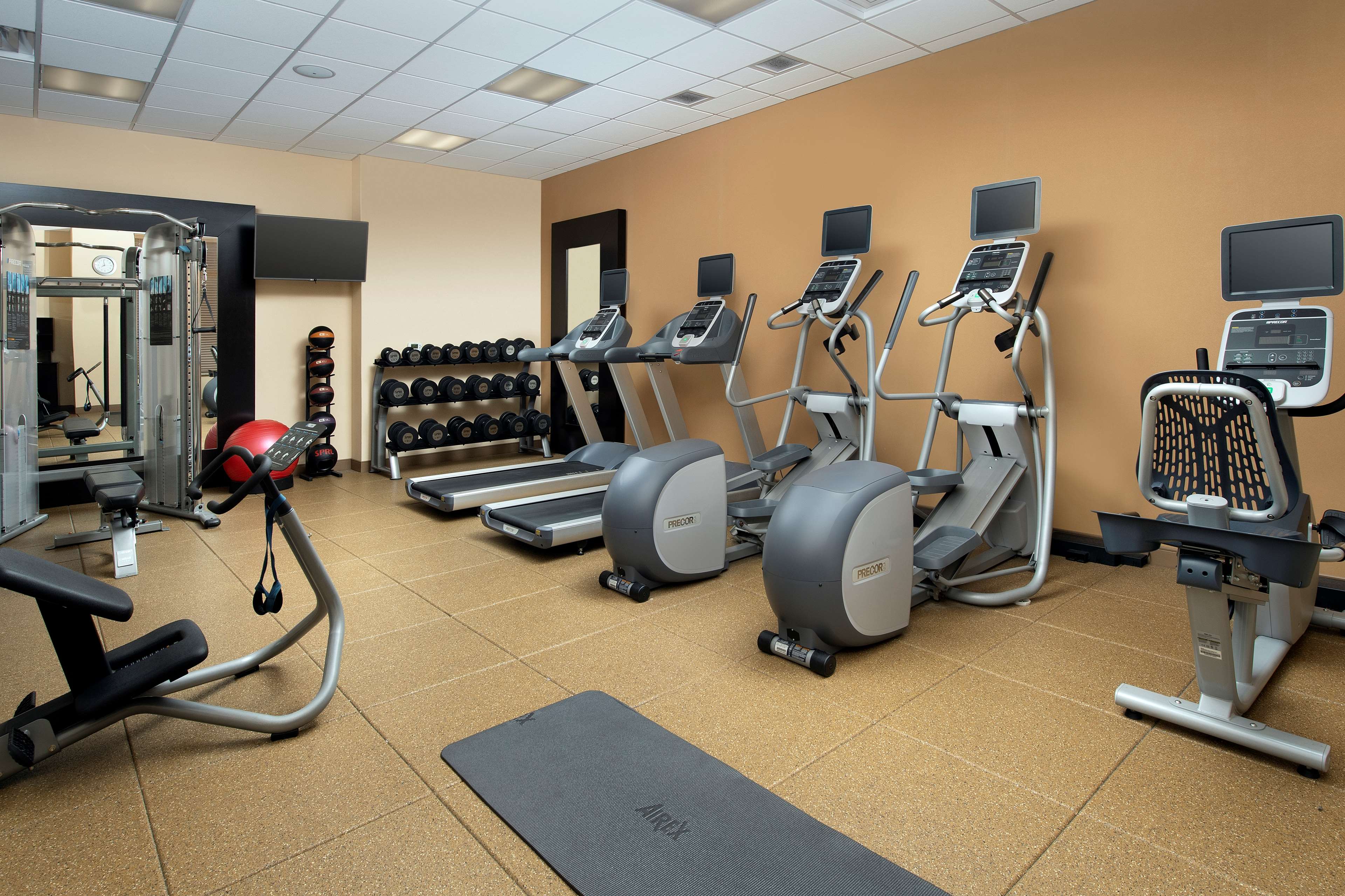 Health club  fitness center  gym