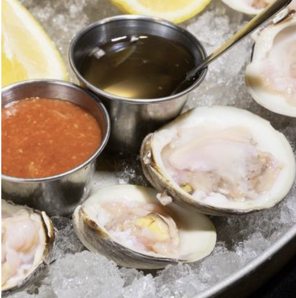 Oysters (6)