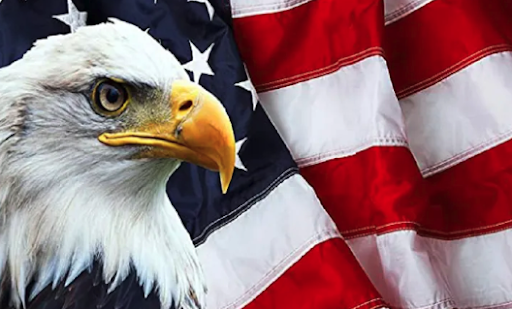 Trukmann's Reprographics Image