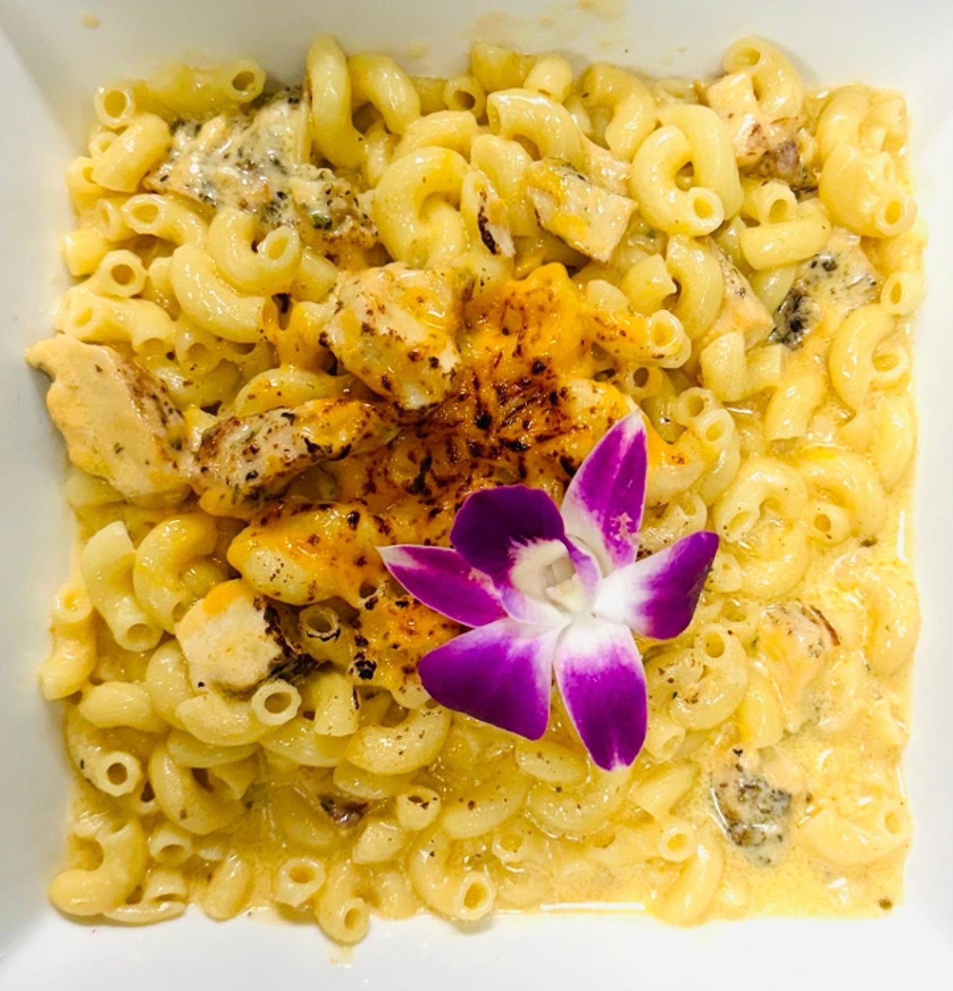 Macaroni and Cheese