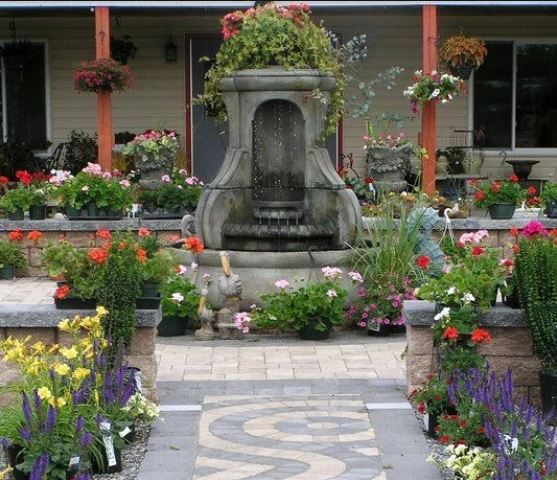 Images Jack Frost Landscapes & Garden Center