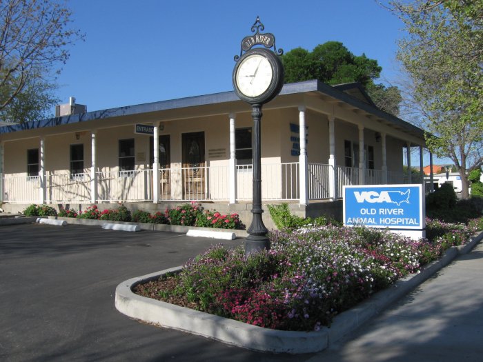 VCA Old River Animal Hospital Photo