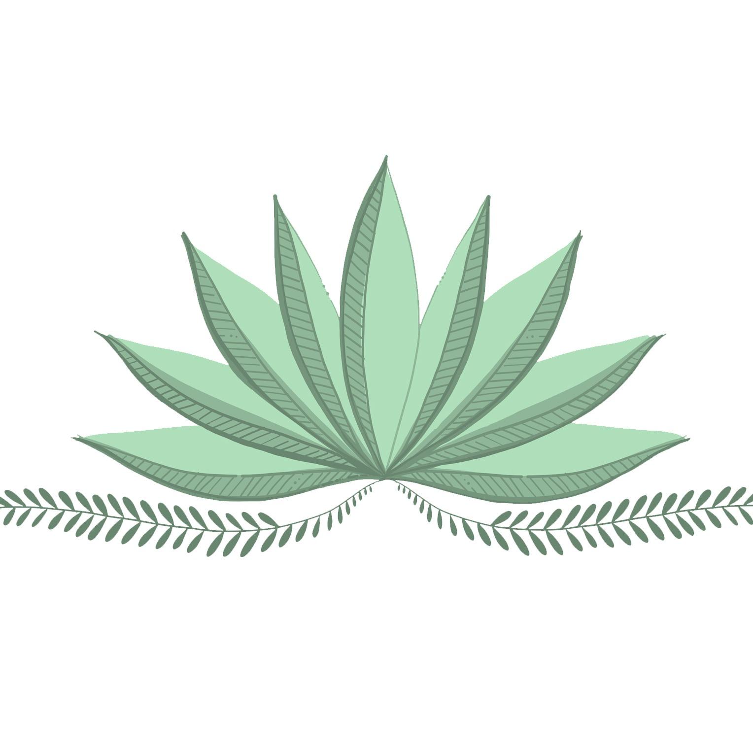 Sierra Juice Company