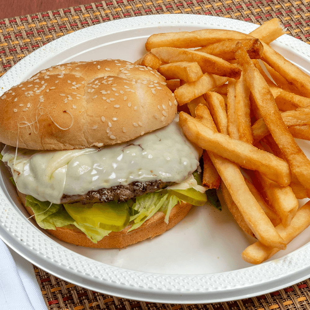 Burger & 5 Pcs. Wings Combo