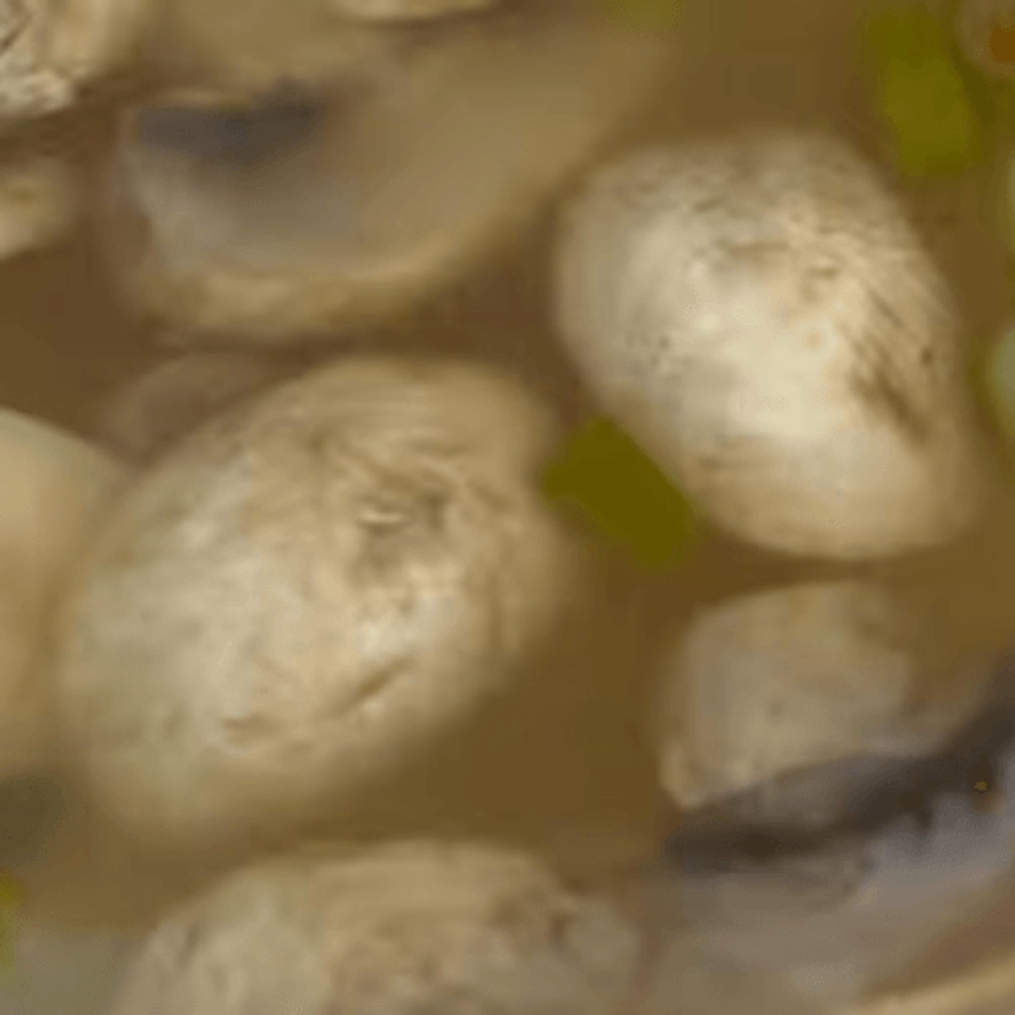Tom Yam Kung