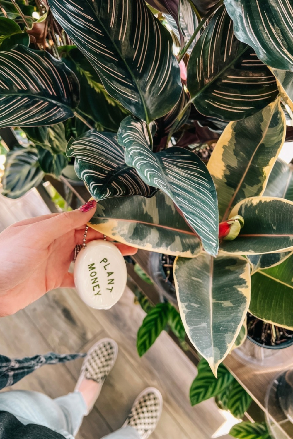 Jungle Room by BWH Plant Co Image