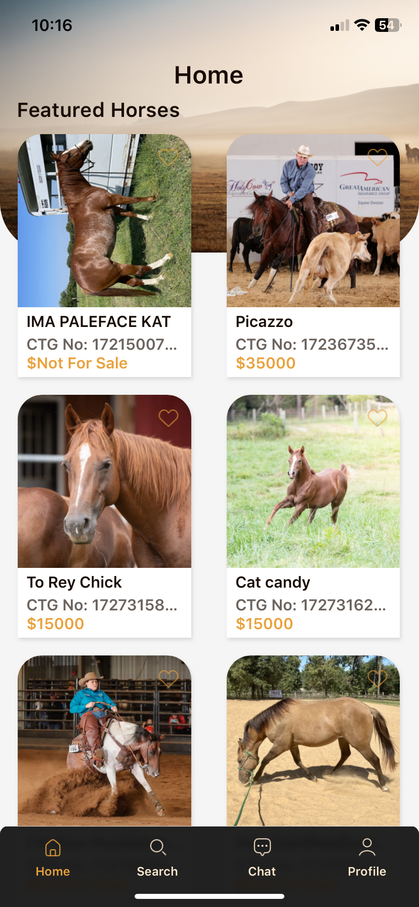 CTG Horse, LLC Image